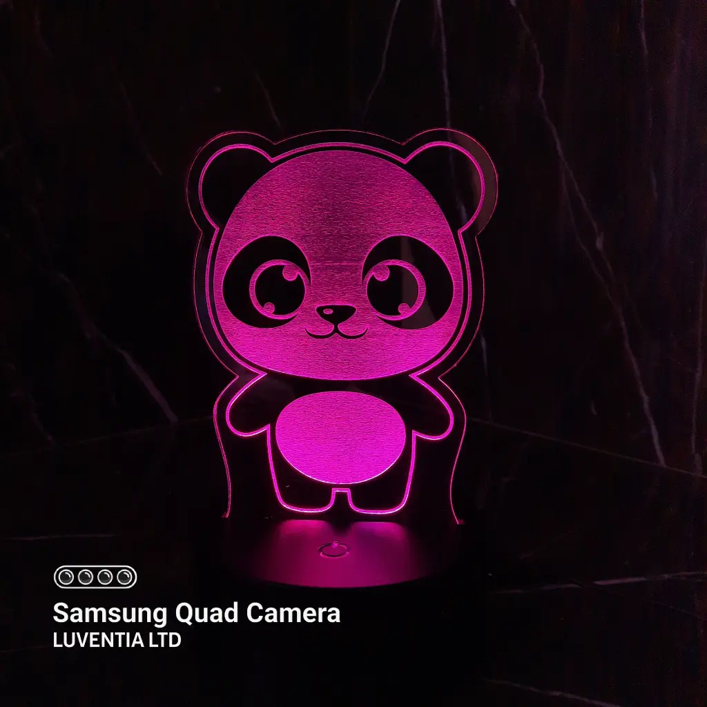 Panda pink (2).webp