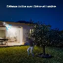 81uzdXB93KL._AC_SL1500_.webp