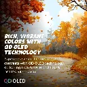 71C+KdtYSqL._AC_SL1500_.webp