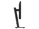 0257907_0.webp